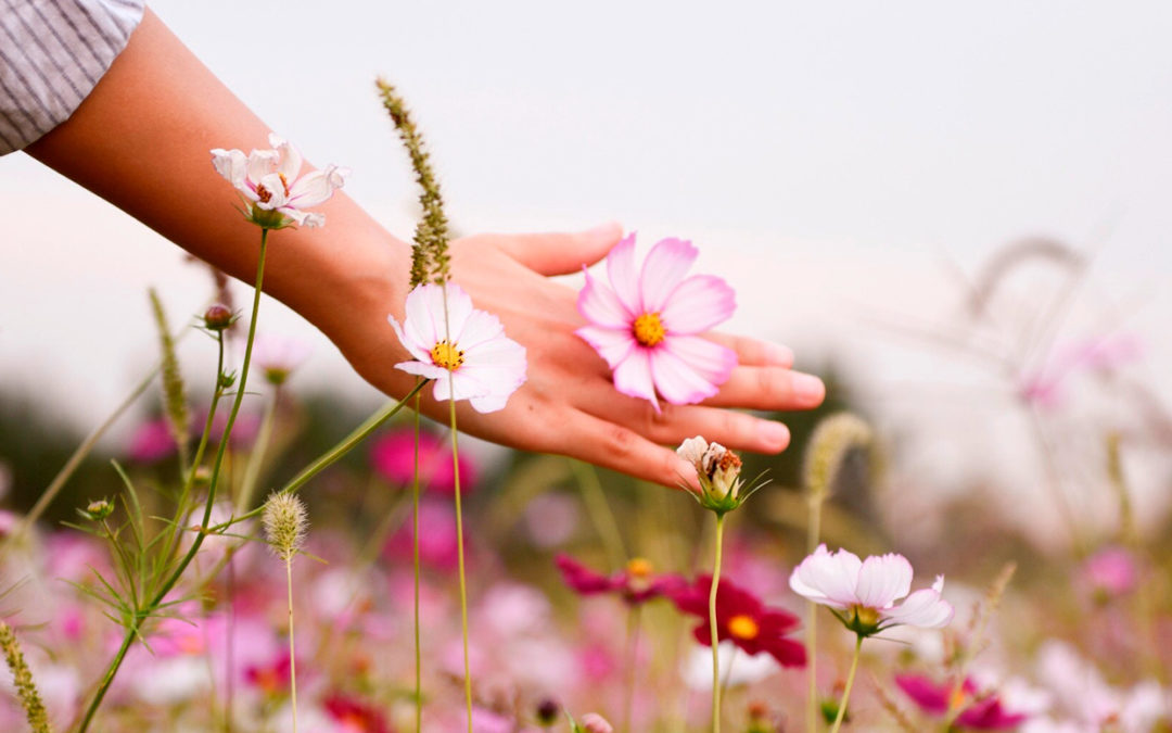 Nos soirées d&rsquo;initiation à la naturopathie